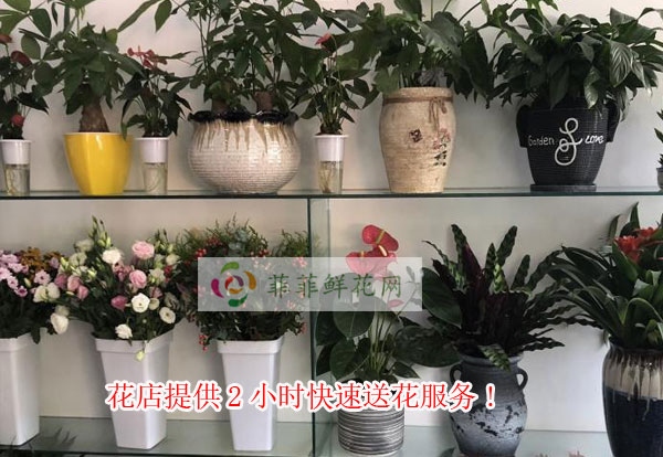 定西花店提供定西2小时快速送花服务