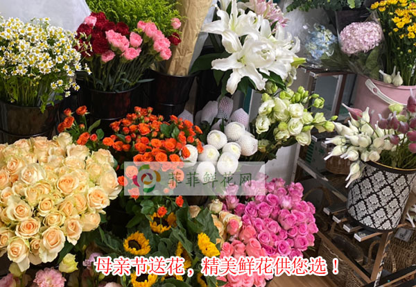 2024定西母亲节送花,定西精美鲜花供您选!